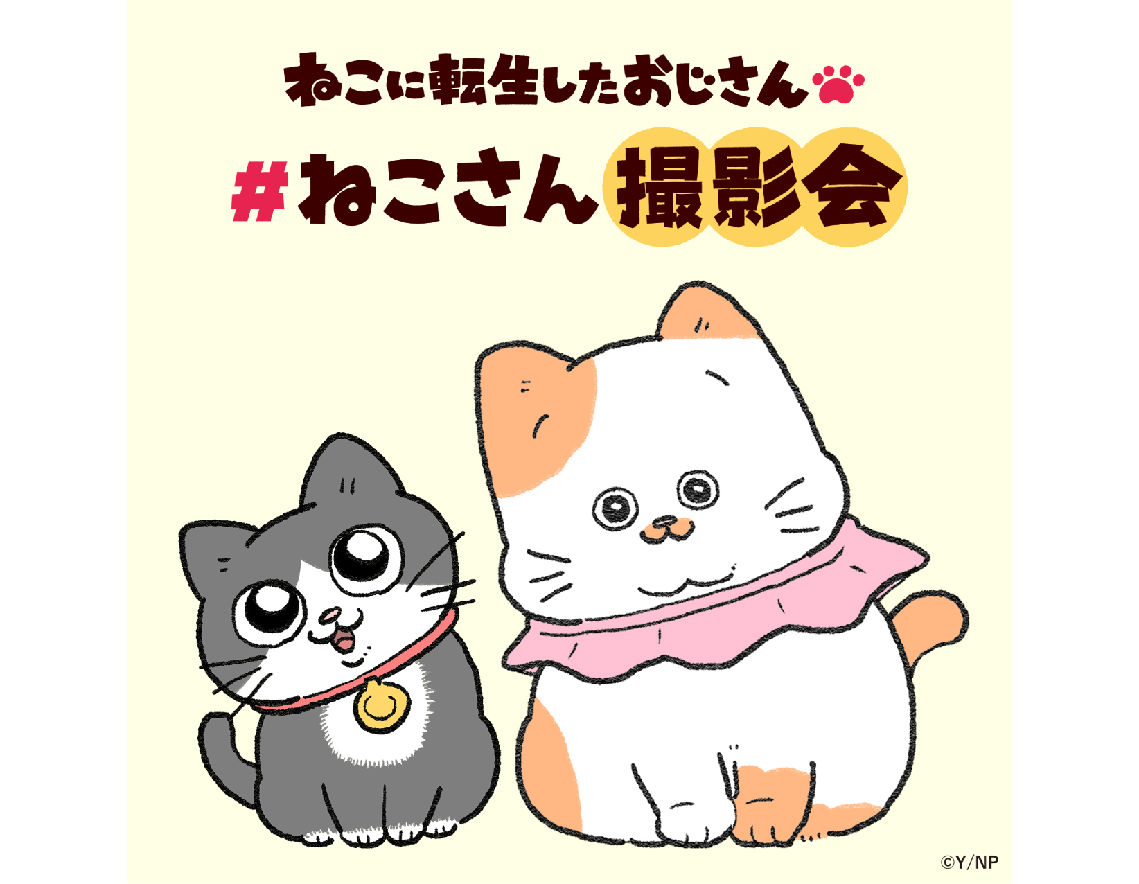 ねこに転生したおじさん