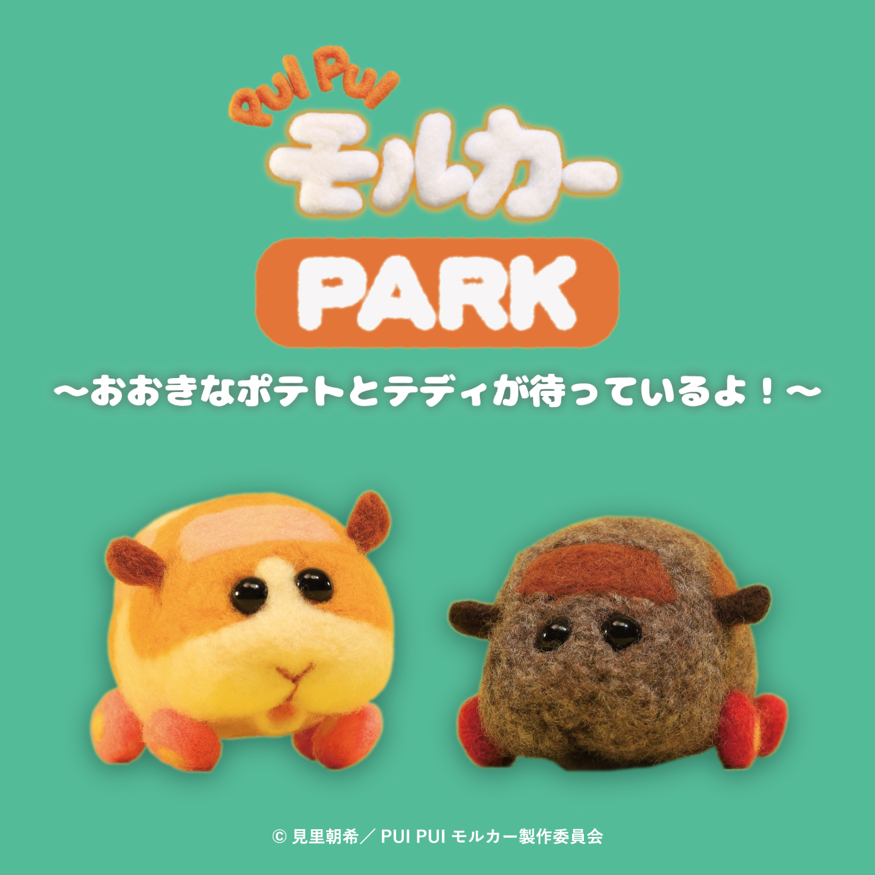 PUI PUI モルカー