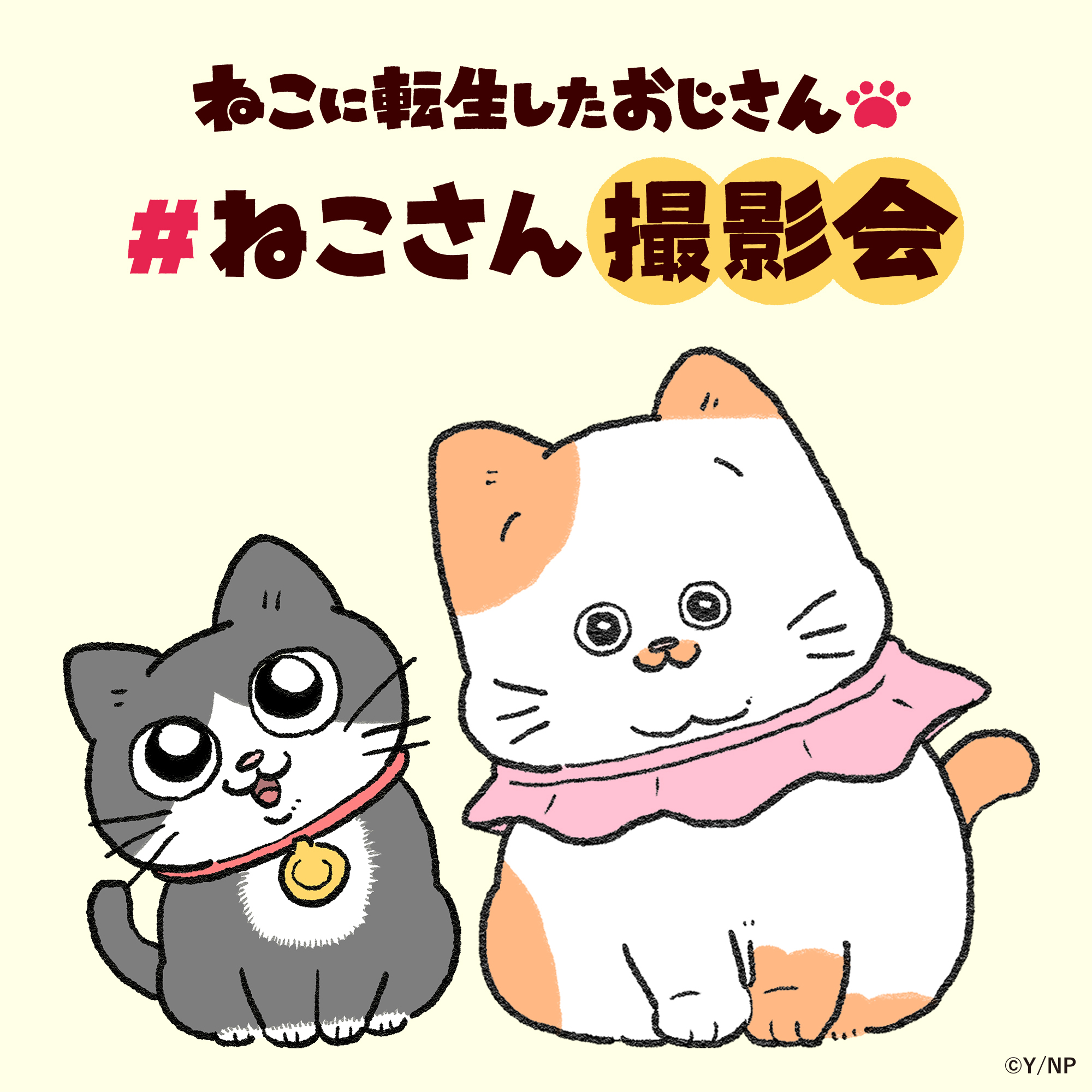 きかんしゃトーマス