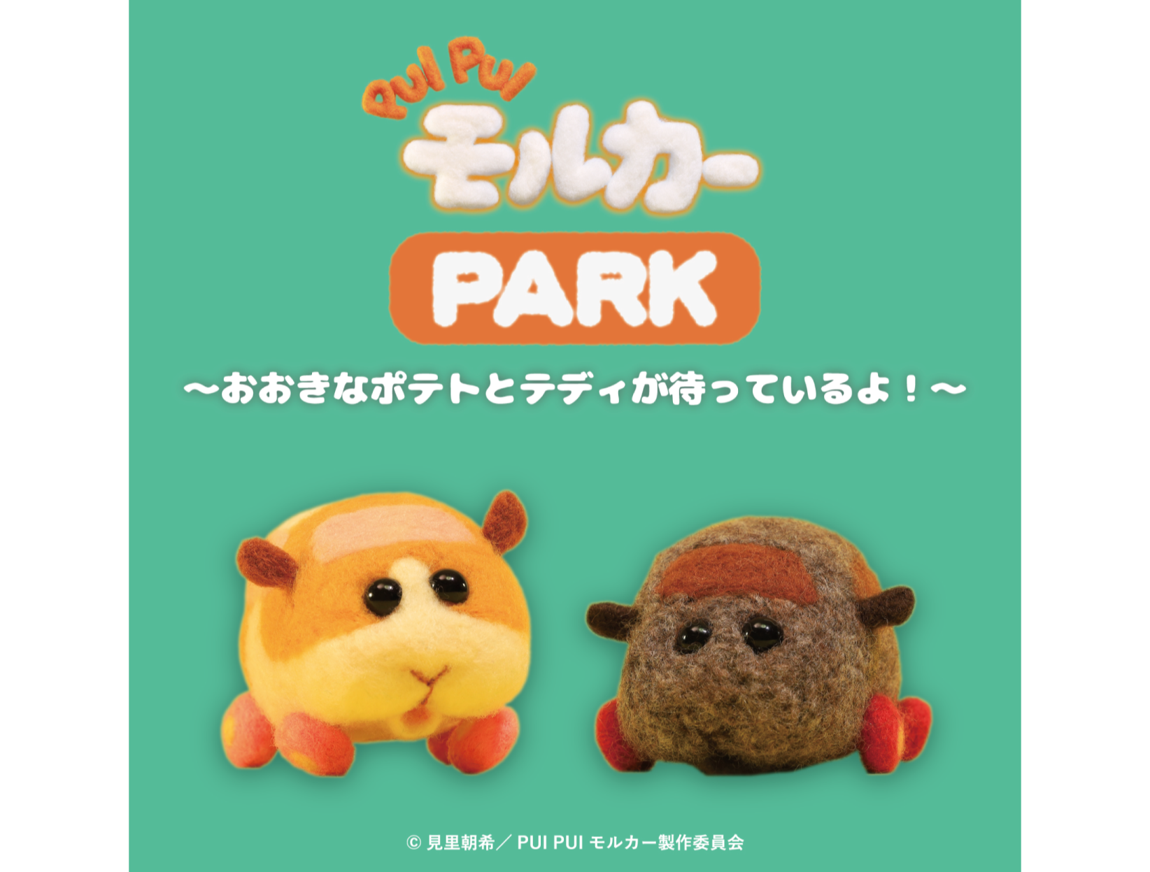 PUI PUI モルカー